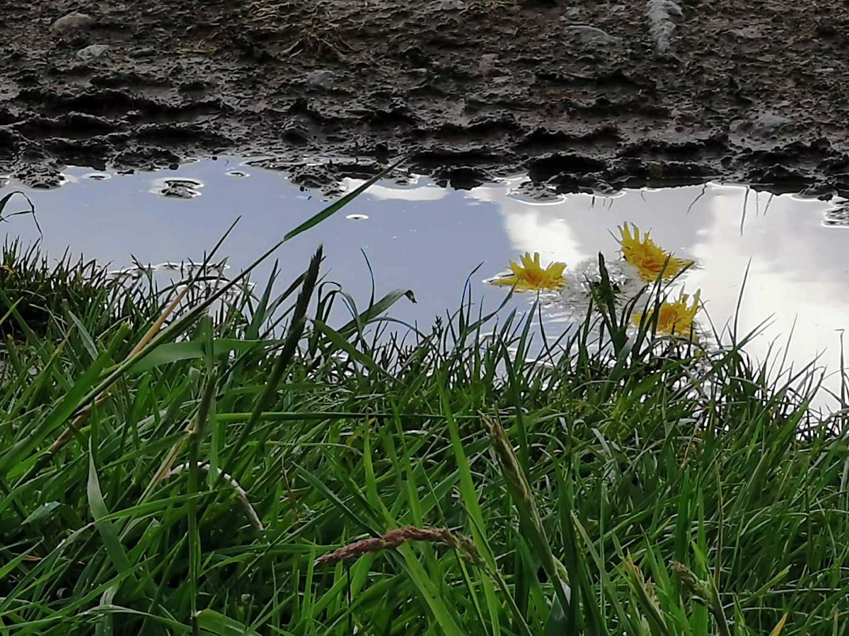 Stacks Image 378